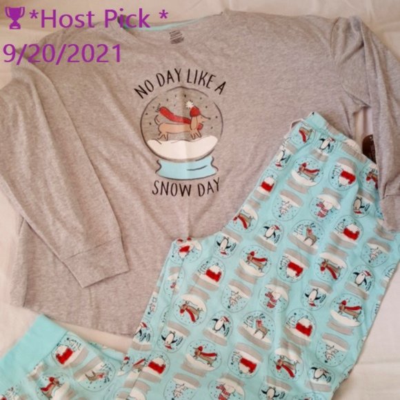 Secret Treasures Other - N❄ Day Like A Sn❄w Day Grey&Blue Dachs Holiday Pjs